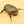 ヘラクレス ヘラクレス ♀ WF3 72mmの画像を読み込む