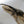 ヘラクレス ヘラクレス ♂150mm~154mmの画像を読み込む