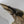 ヘラクレス ヘラクレス ♂150mm~154mmの画像を読み込む