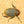 ヘラクレス ヘラクレス　極太極短系統　ペア♂ 126mm♀78.5ｍｍの画像を読み込む
