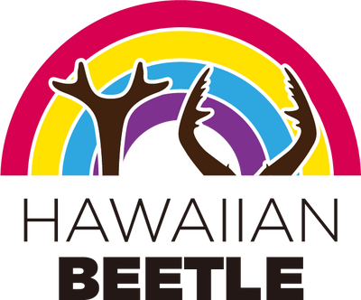 HAWAIIAN BEETLE